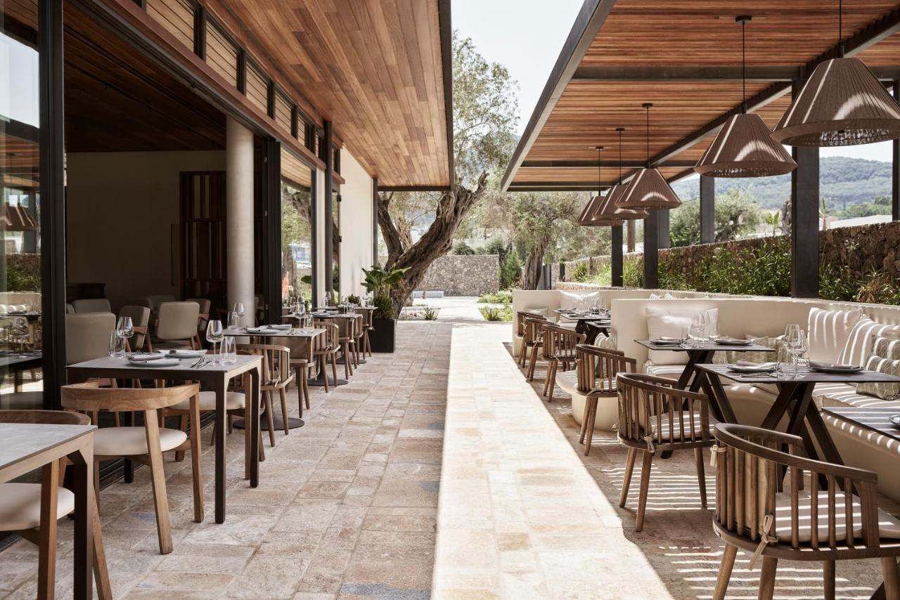 The Olivar 5* Mesongí