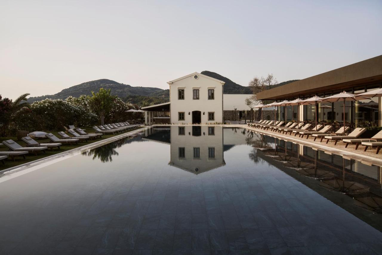Hotel The Olivar Mesongí